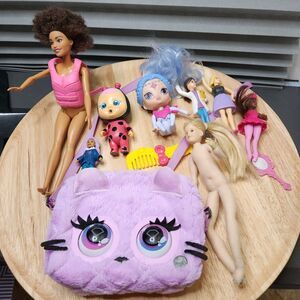 Girls Toy Bundle Barbie Shimmer Doll Cat Purse Pretend Play Lot